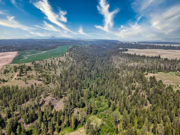 $800,000 | 45-xxx Devore Road, Davenport, WA 99122