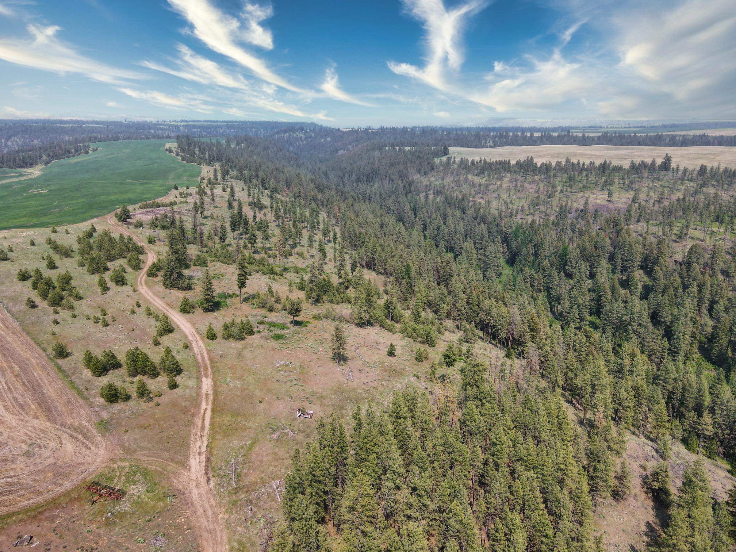 45-xxx Devore Road Davenport, WA 99122 - Photo 9 of 50