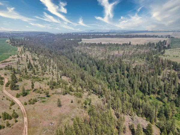 $800,000 | 45-xxx Devore Road, Davenport, WA 99122