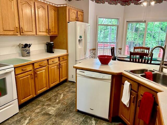 981 Padgetts Hill Road Natural Bridge, VA 24578 - Photo 24 of 52 PH24