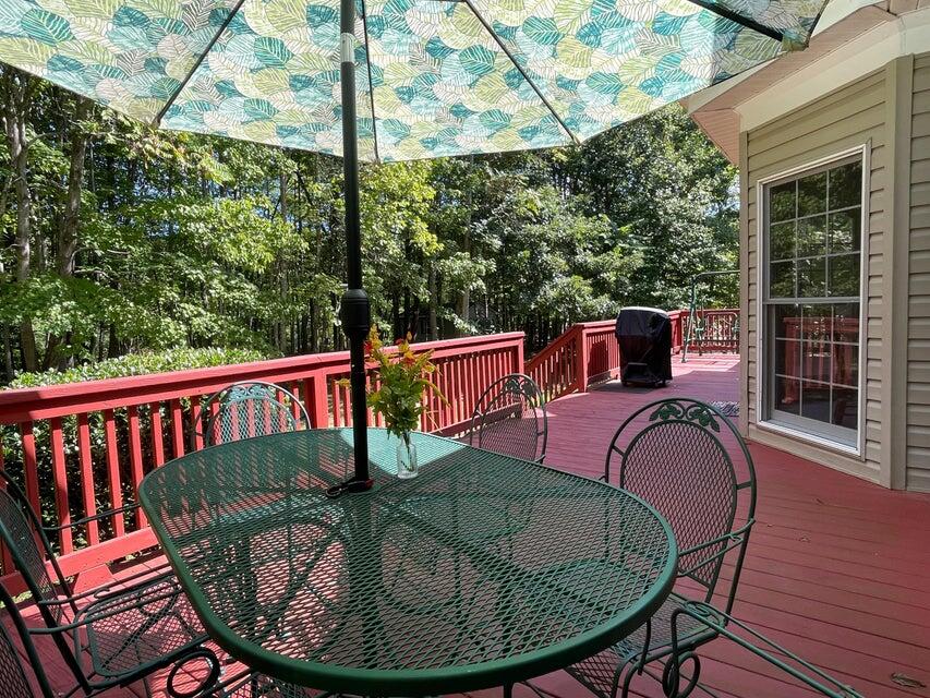 981 Padgetts Hill Road Natural Bridge, VA 24578 - Photo 30 of 52 PH30