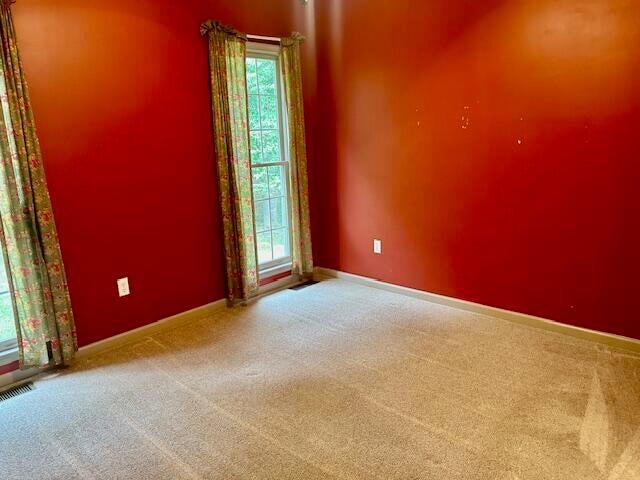 981 Padgetts Hill Road Natural Bridge, VA 24578 - Photo 38 of 52 PH38