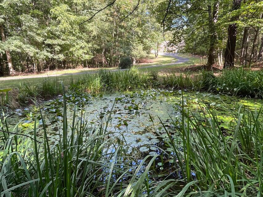 981 Padgetts Hill Road Natural Bridge, VA 24578 - Photo 52 of 52 PH52