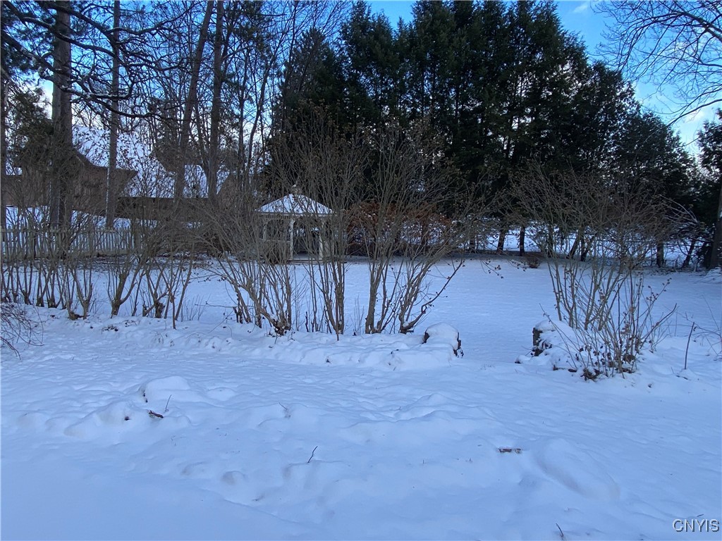 453 Main Street Oneida, NY 13421 - Photo 3 of 28