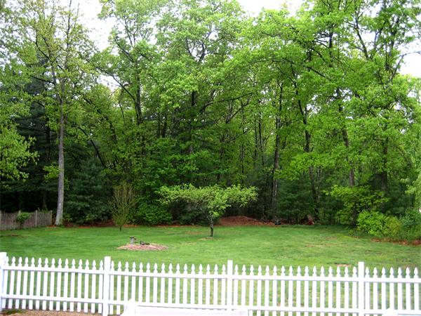 46 Gilson Road Littleton, MA 01460 - Photo 18 of 20