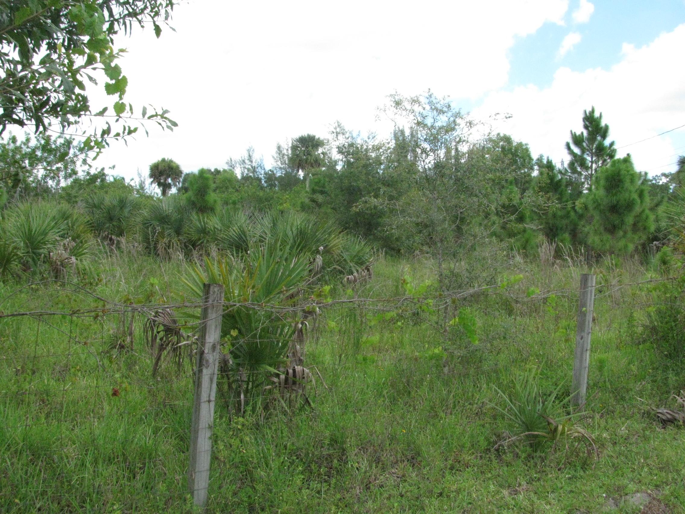 Xx D Road Loxahatchee, FL 33470 - Photo 3 of 9 008