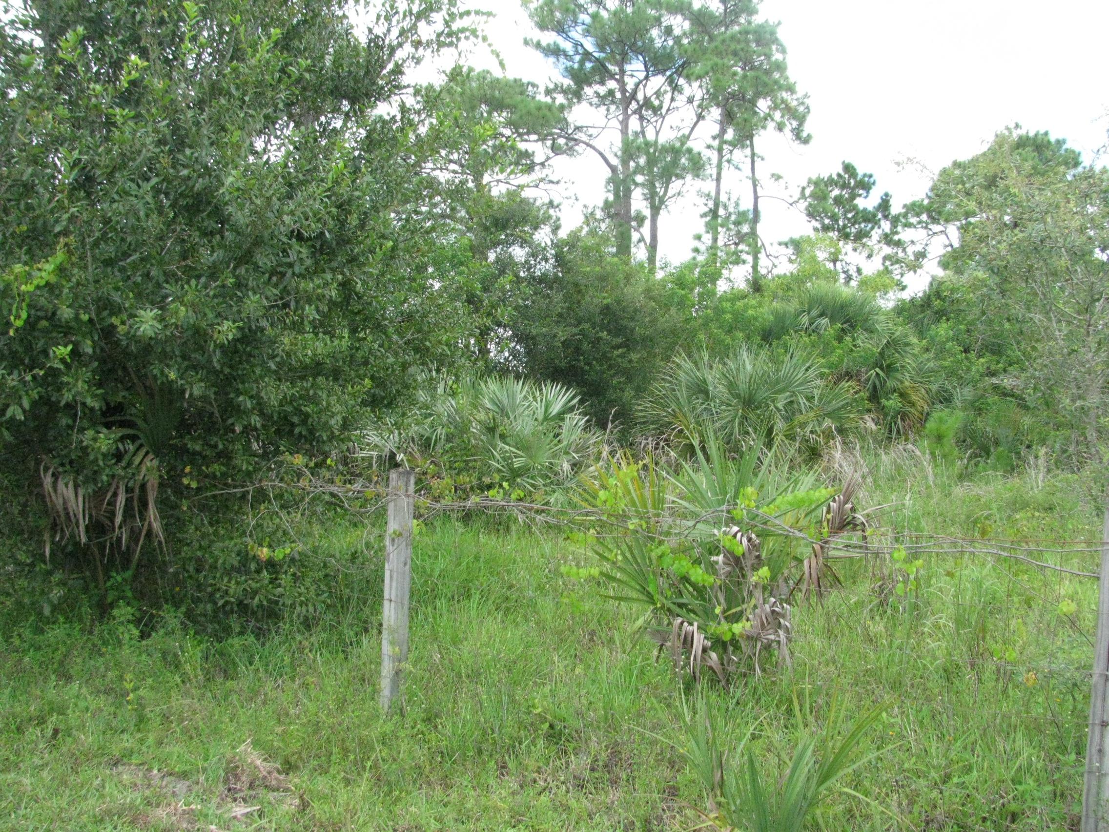 Xx D Road Loxahatchee, FL 33470 - Photo 4 of 9 009