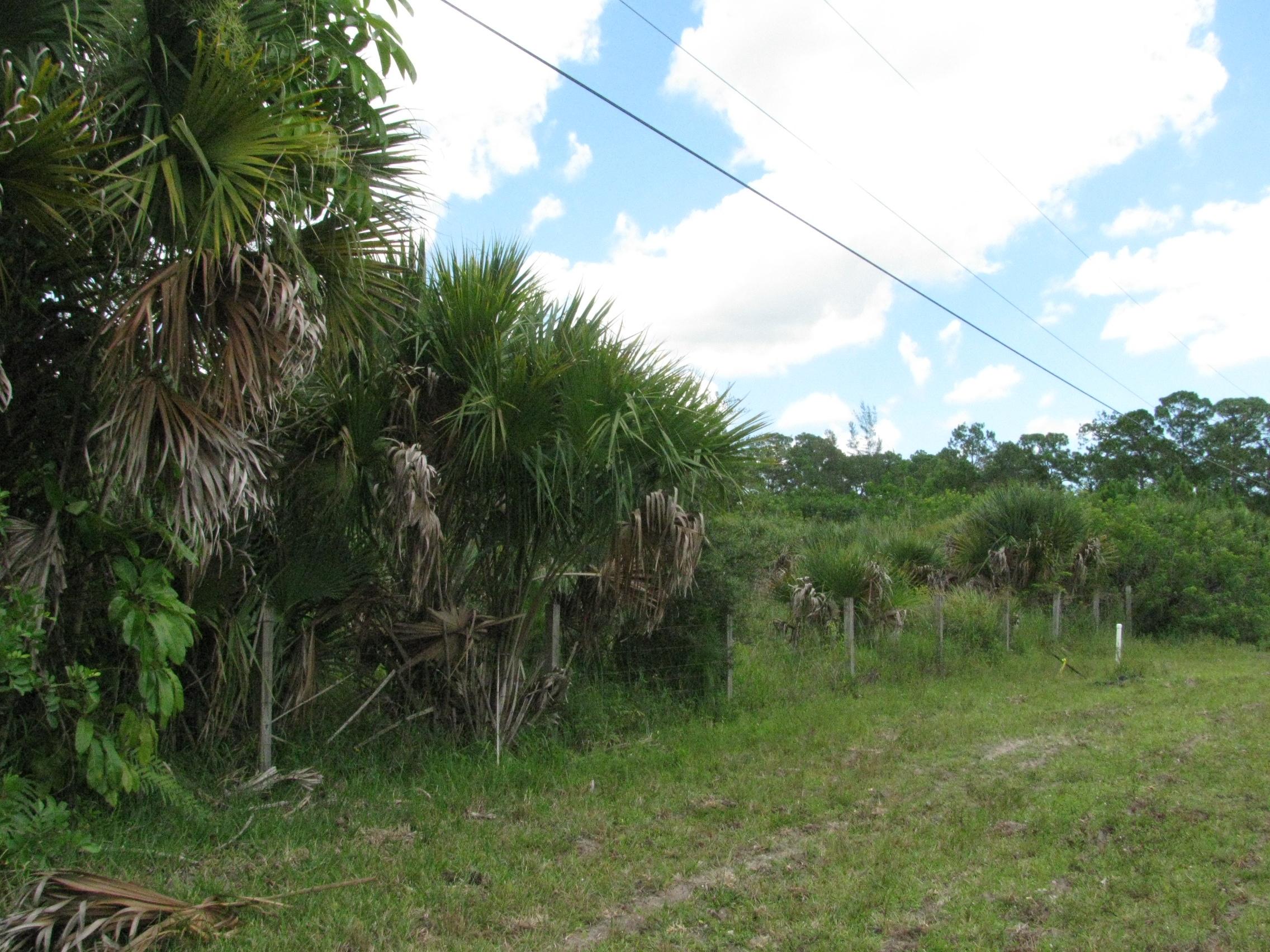 Xx D Road Loxahatchee, FL 33470 - Photo 5 of 9 010