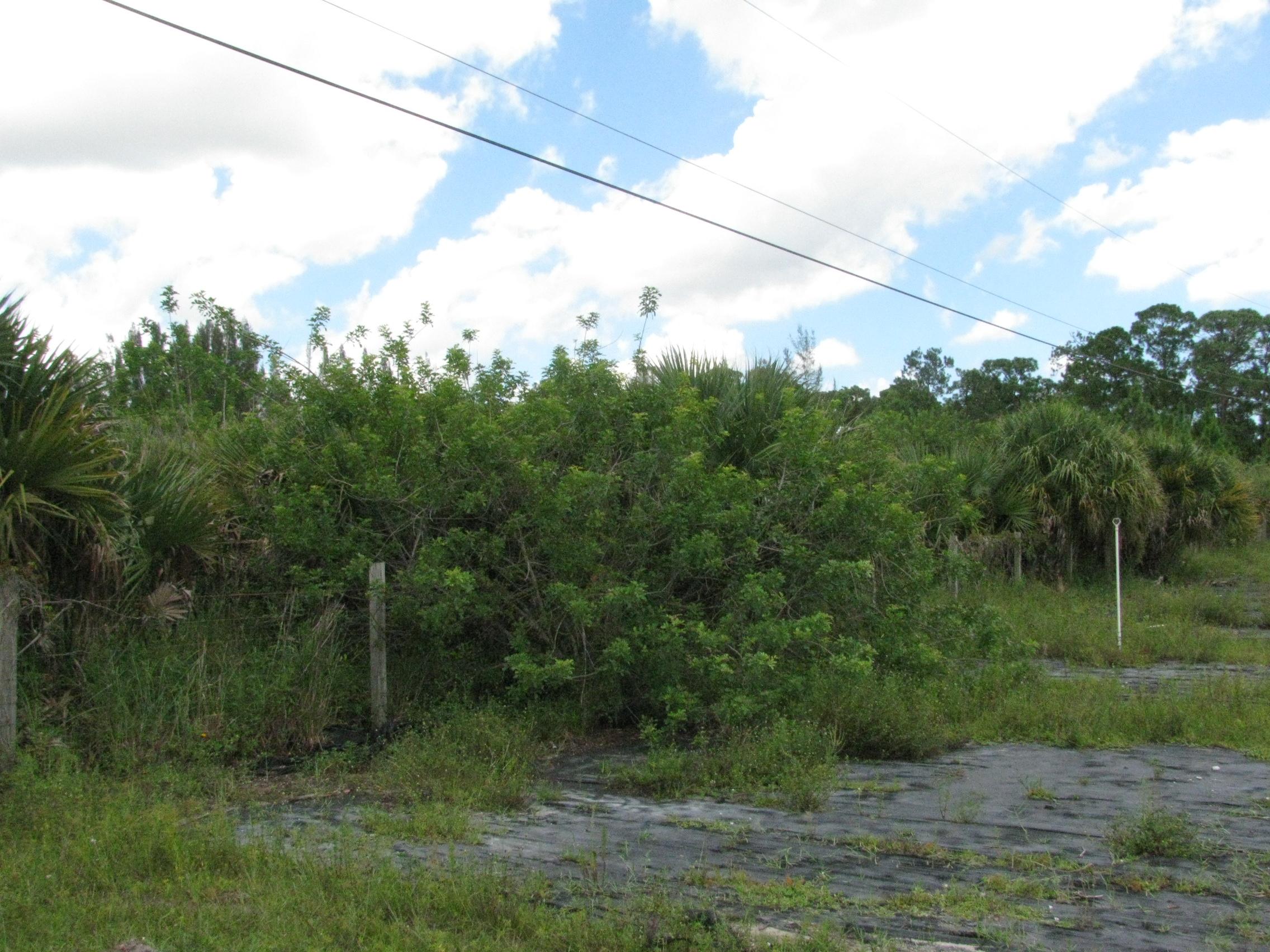 Xx D Road Loxahatchee, FL 33470 - Photo 6 of 9 012