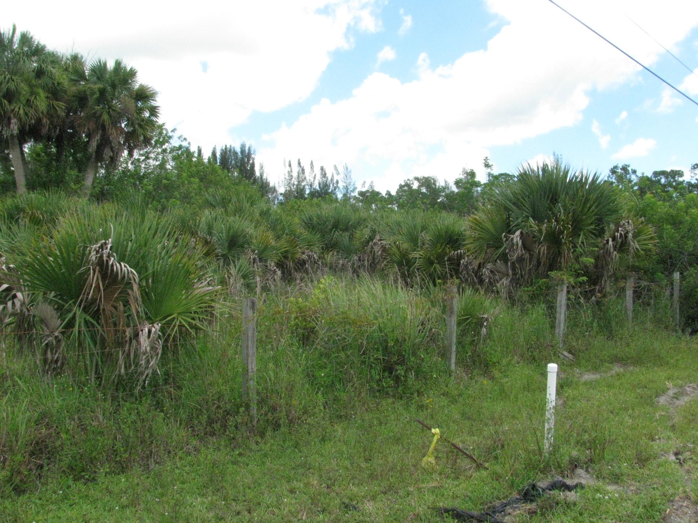Xx D Road Loxahatchee, FL 33470 - Photo 9 of 9 011