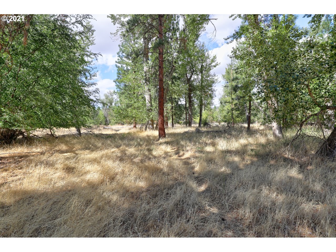 83153 Tygh Valley Road Tygh Valley, OR 97063 - Photo 8 of 32 Gallery Image 8