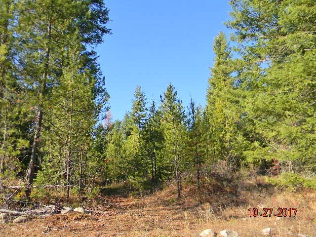 0 Rider Road Newport, WA 99156 - Photo 15 of 15 Gallery Image 15