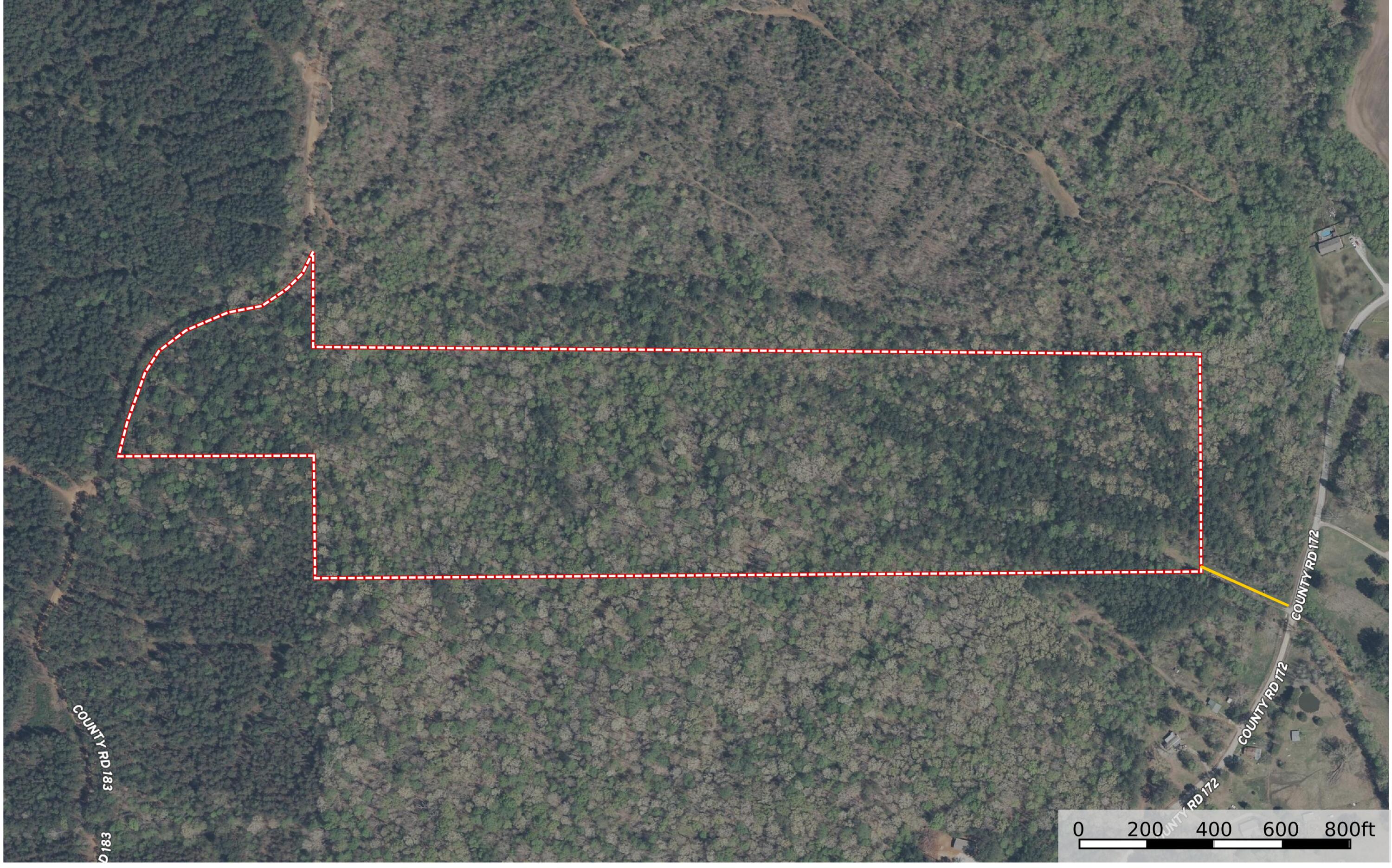 172 Co Road Guntown, MS 38849 - Photo 1 of 10 Gallery Image 1