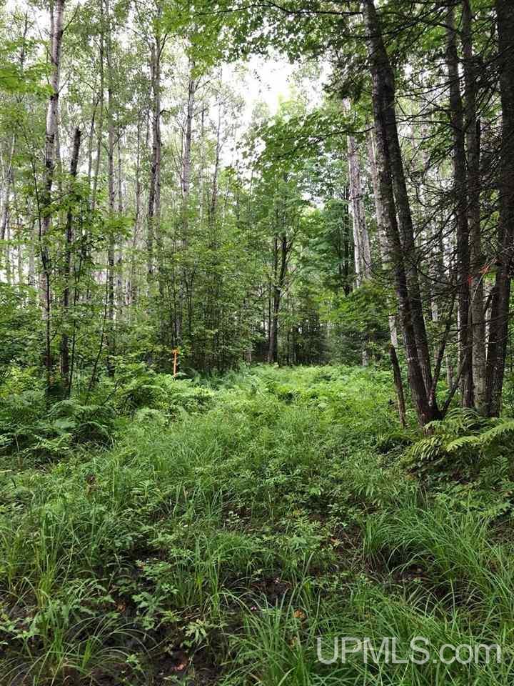 13281 Church P.1 Road Rapid River, MI 49878 - Photo 11 of 23