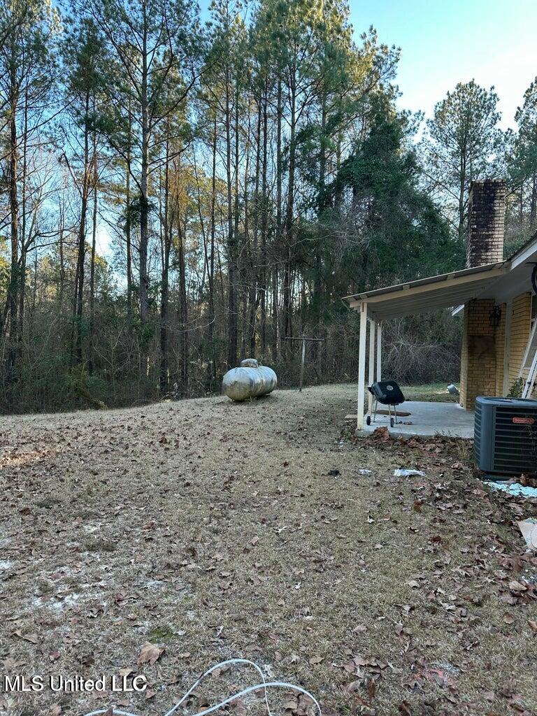 112 County Road 662 Quitman, MS 39355 - Photo 23 of 23 20250125053639408520000000-o
