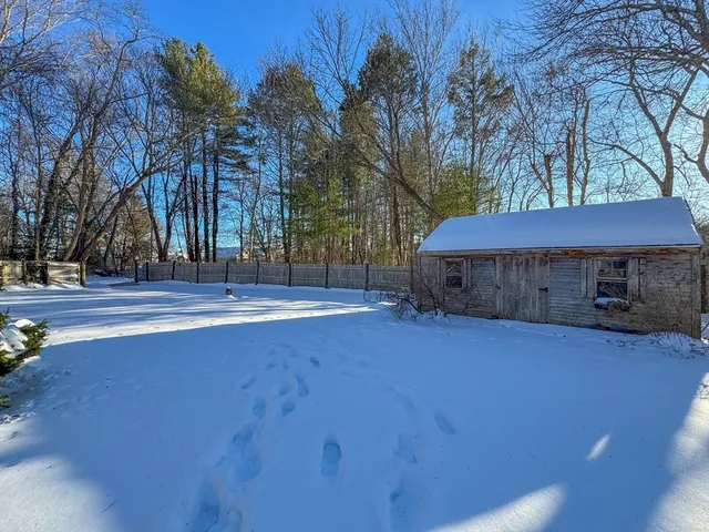 a view of a backyard with large trees