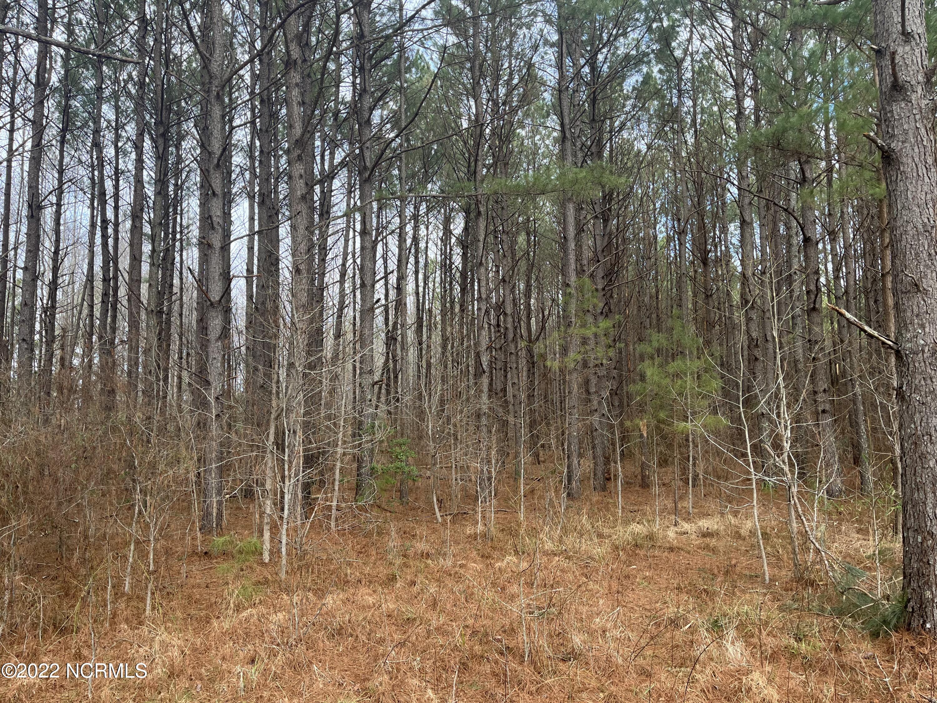 Tbd McInnis Road Carthage, NC 28327 - Photo 4 of 24 IMG_0018