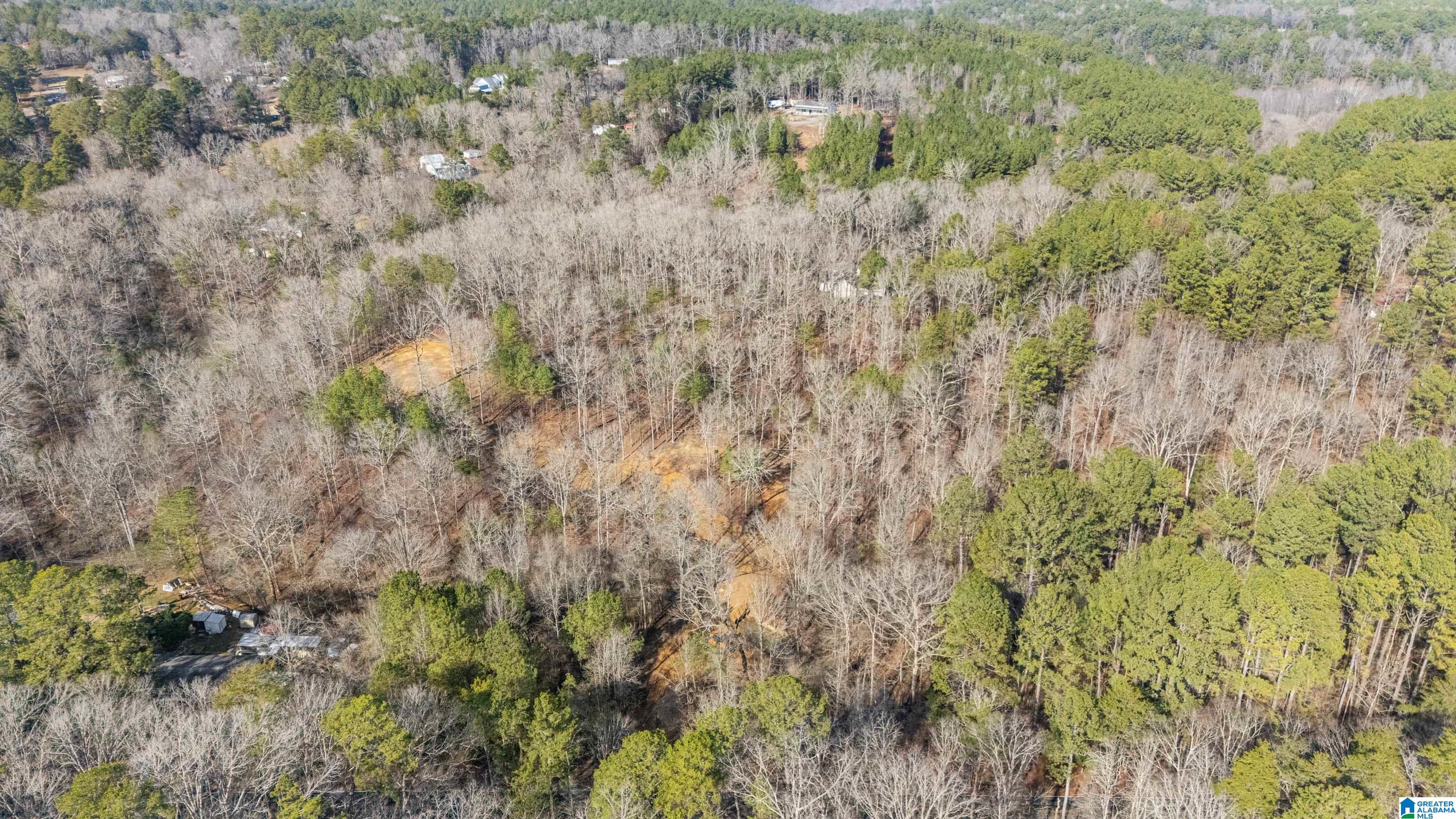 7019 Groundhog Road, Unit 1 Morris, AL 35116 - Photo 2 of 22