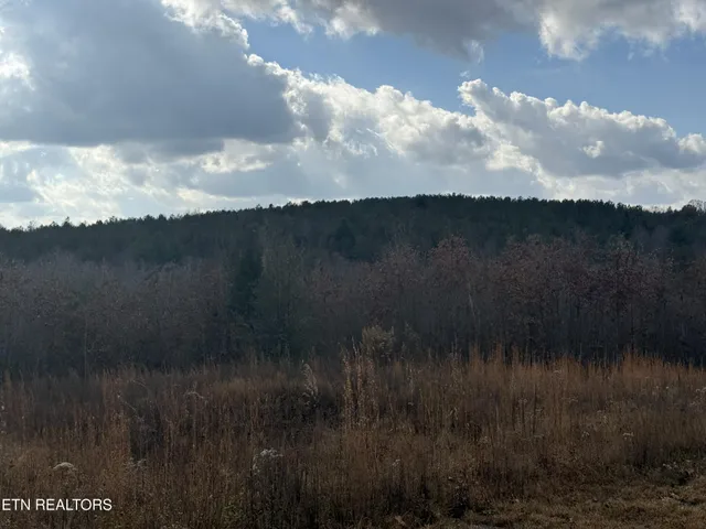 a view of a lake from a yard