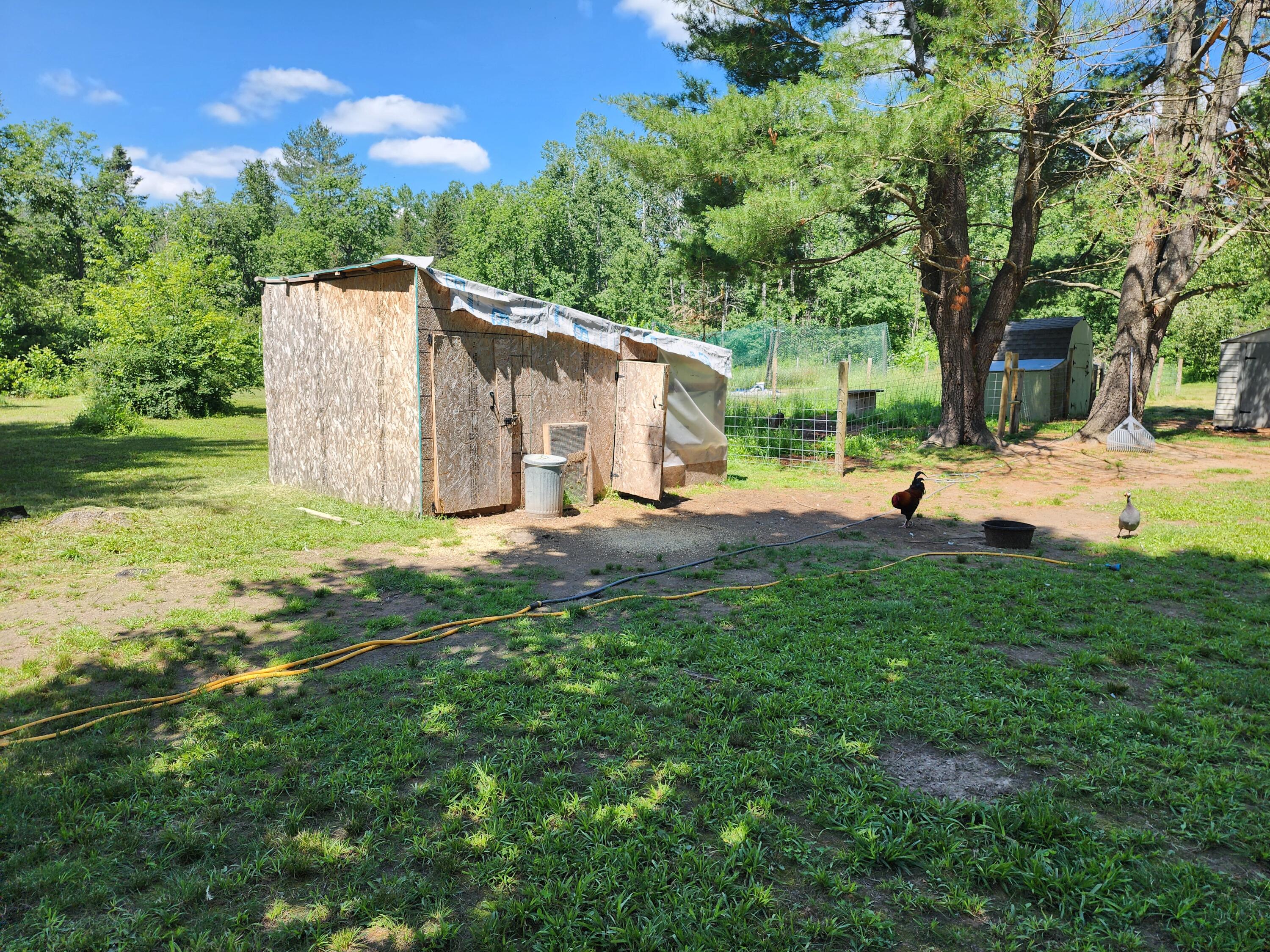 10501 Mason Road Onaway, MI 49765 - Photo 13 of 18 20250708_125846
