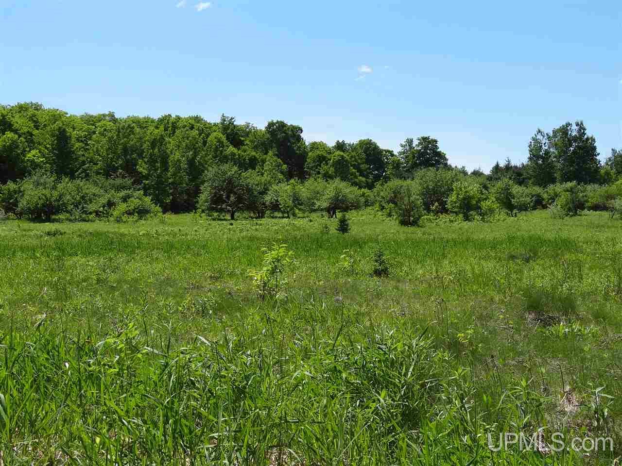 Tbd Seppanen Road Nisula, MI 49952 - Photo 21 of 24 Gallery Image 21