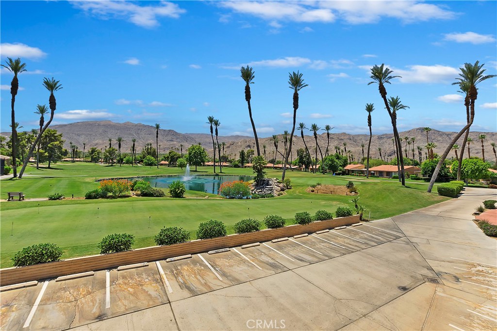 8 Valencia Drive Rancho Mirage, CA 92270 - Photo 19 of 20 a view of a garden with palm trees