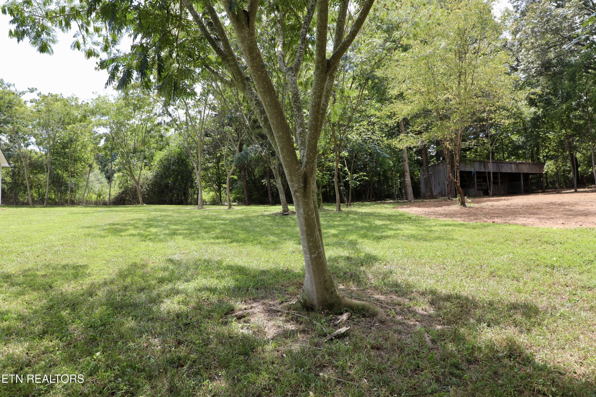 239 Cedar Grove Road Madisonville, TN 37354 - Photo 30 of 36 Gallery Image 30