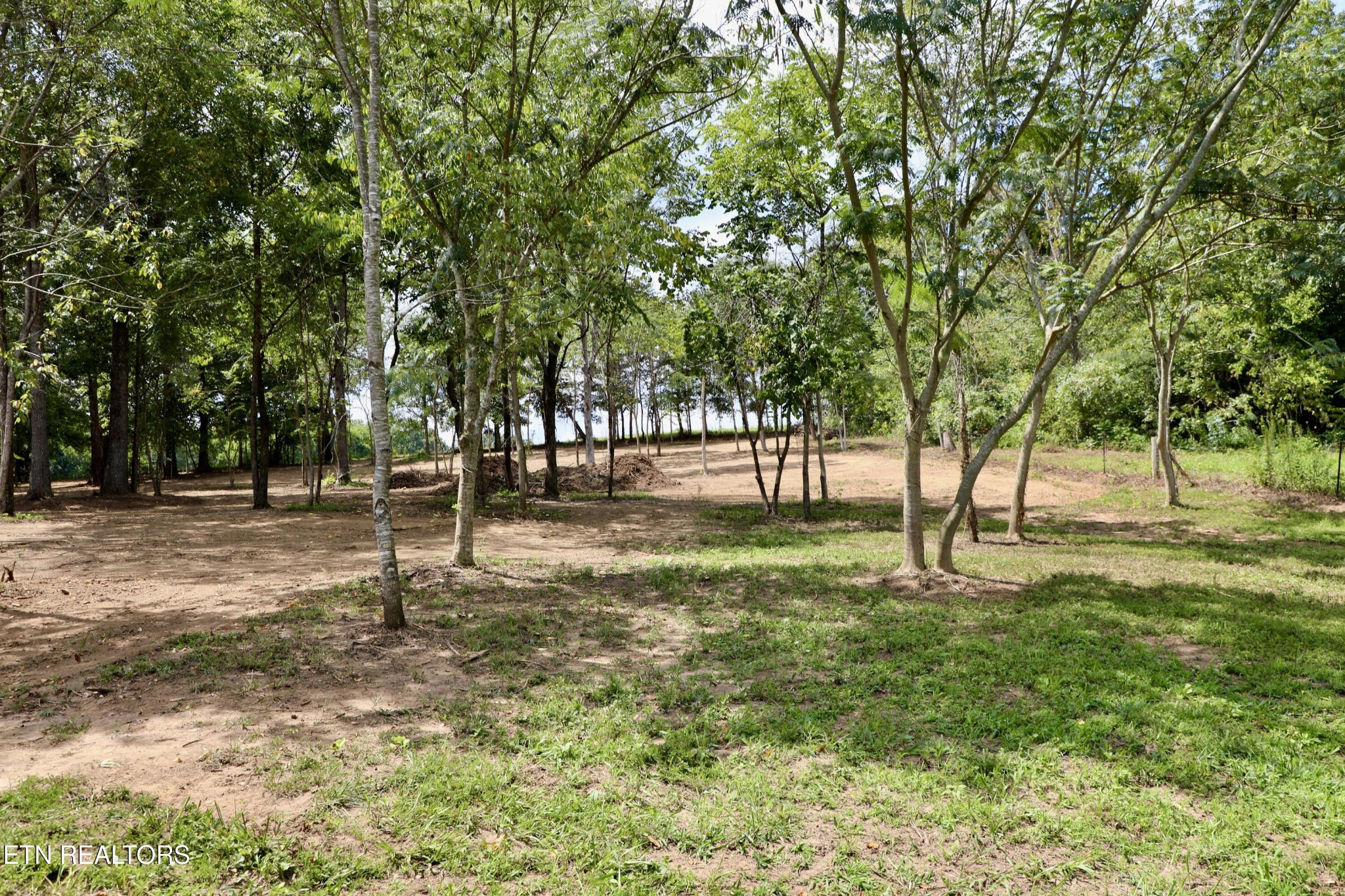 239 Cedar Grove Road Madisonville, TN 37354 - Photo 33 of 36 Gallery Image 33