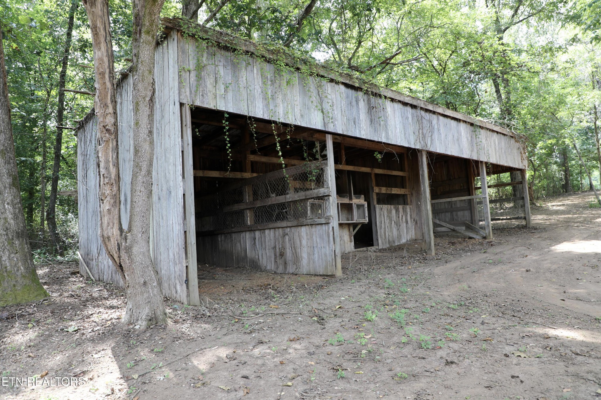 239 Cedar Grove Road Madisonville, TN 37354 - Photo 34 of 36 Gallery Image 34