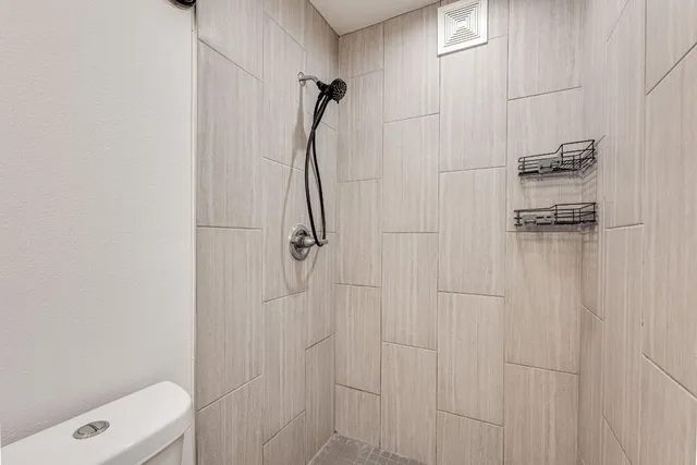 a bathroom with a shower and toilet