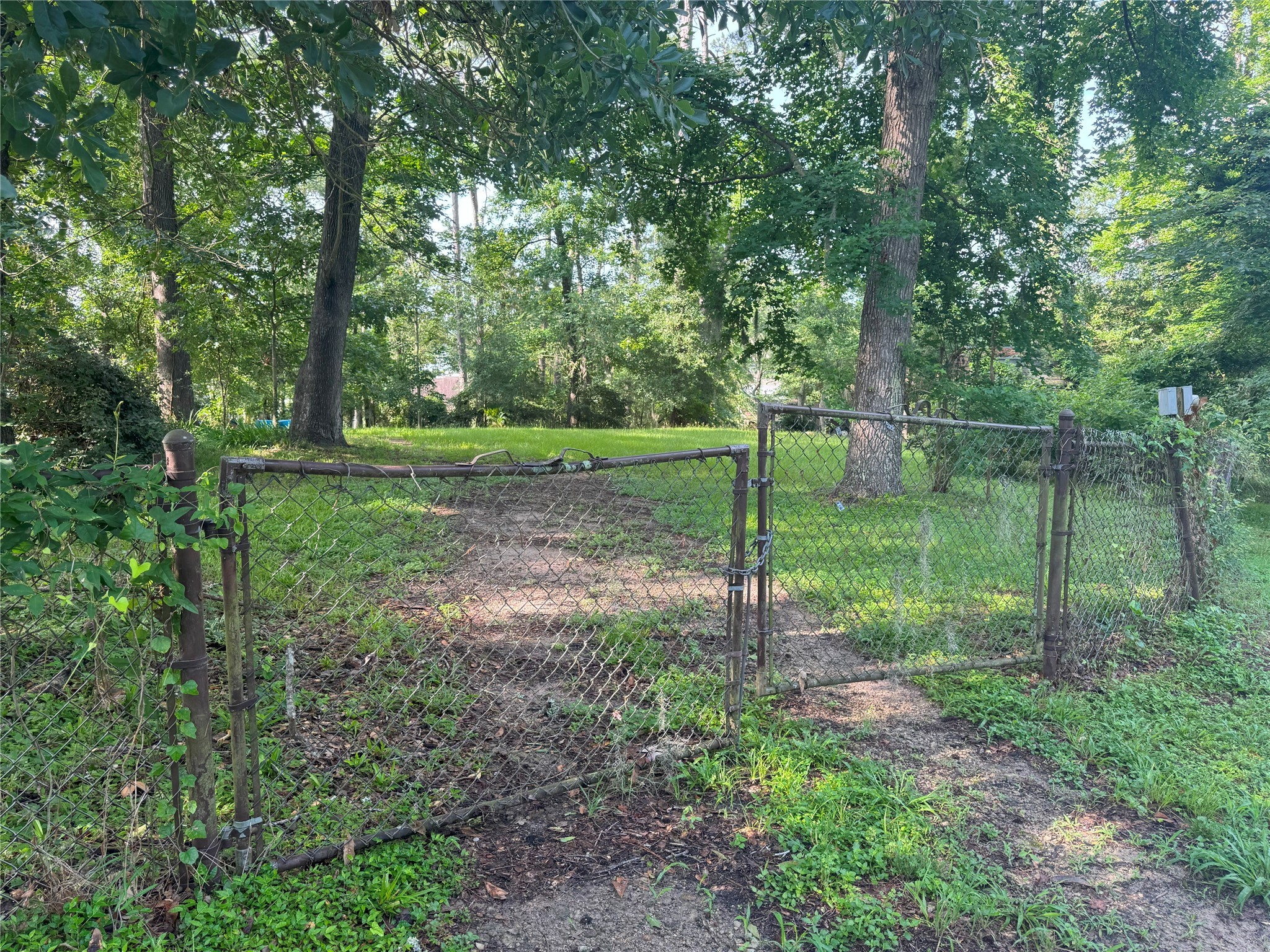 Tbd Tbd Lakeshore /black Walnut Drive Coldspring, TX 77331 - Photo 11 of 20 a view of a backyard with trees