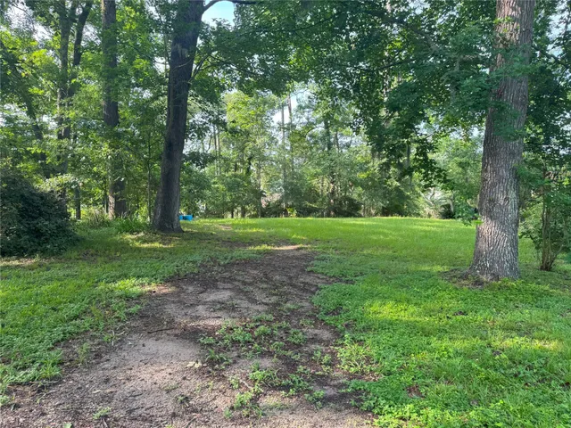 a view of a grassy field with trees in the background