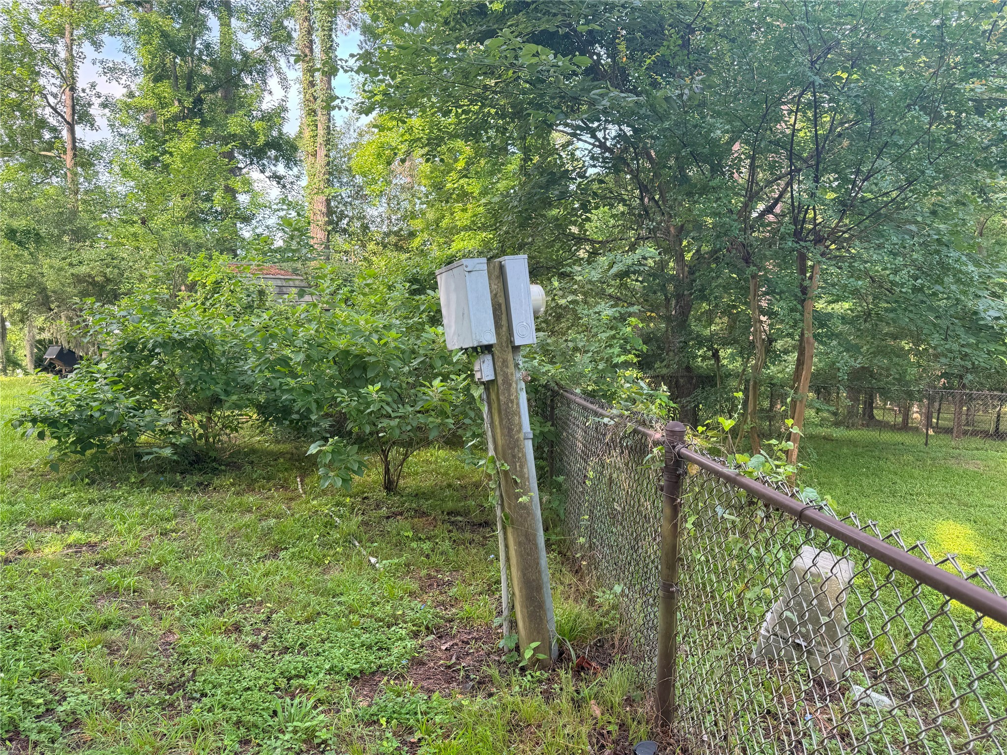 Tbd Tbd Lakeshore /black Walnut Drive Coldspring, TX 77331 - Photo 14 of 20 a picture of street light and green space