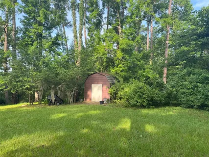a view of a garden with large trees