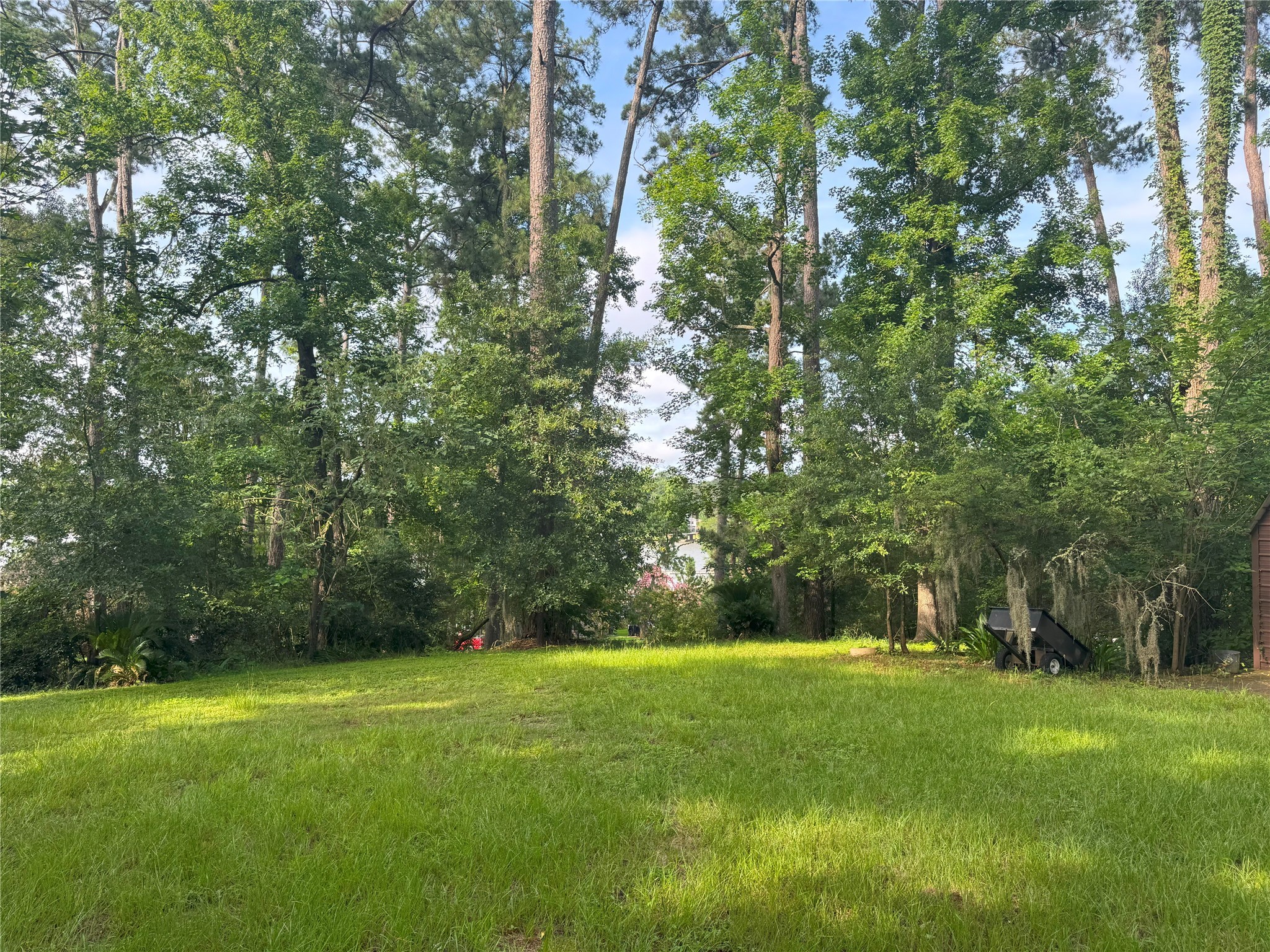 Tbd Tbd Lakeshore /black Walnut Drive Coldspring, TX 77331 - Photo 16 of 20 a view of green field