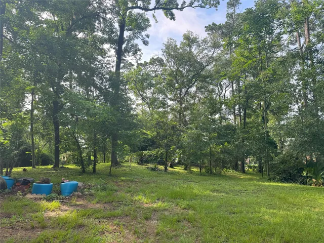 a view of a park with large trees