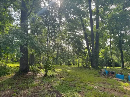 a backyard of a house with lots of green space