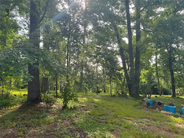a backyard of a house with lots of green space