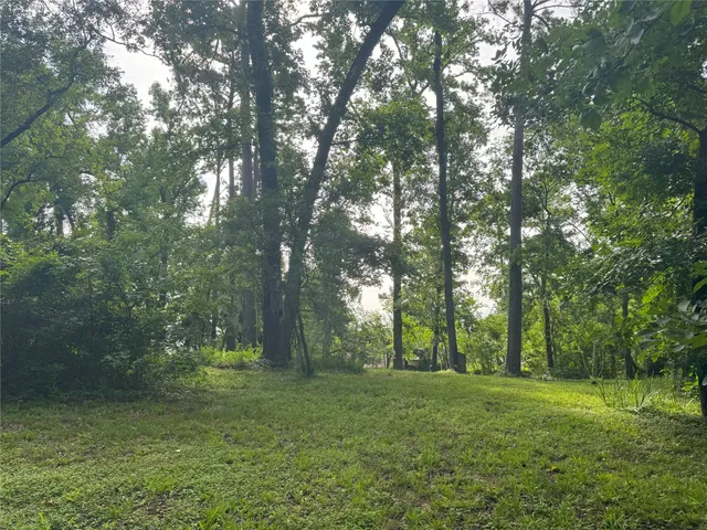 a view of outdoor space and yard