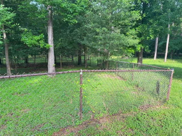 a view of a park with a large tree