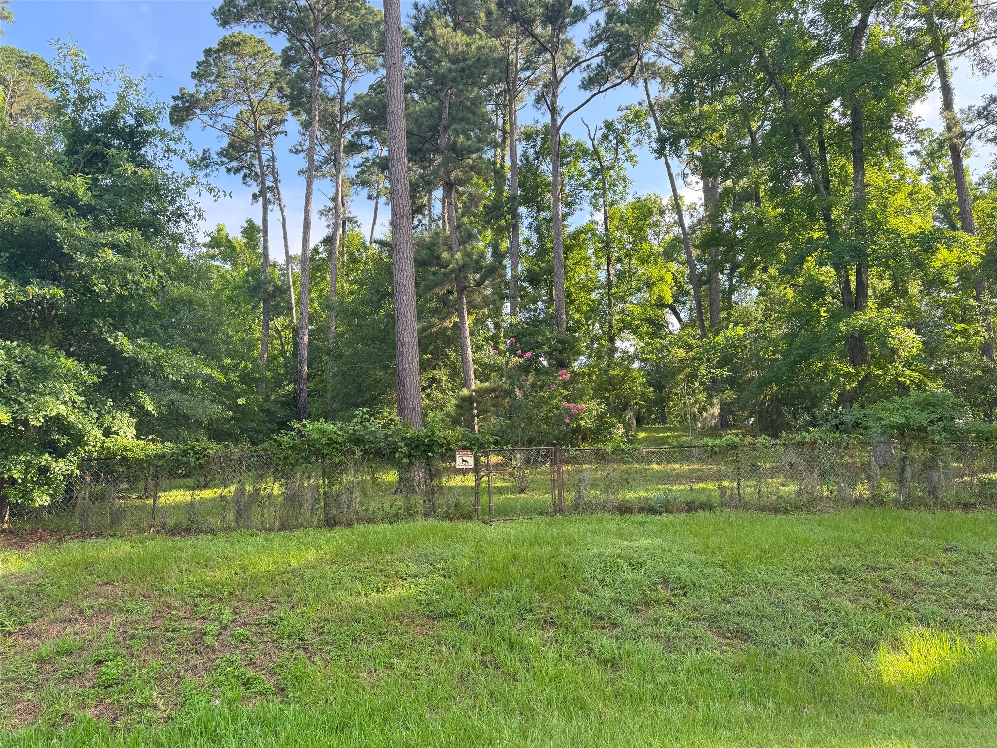 Tbd Tbd Lakeshore /black Walnut Drive Coldspring, TX 77331 - Photo 3 of 20 a view of park