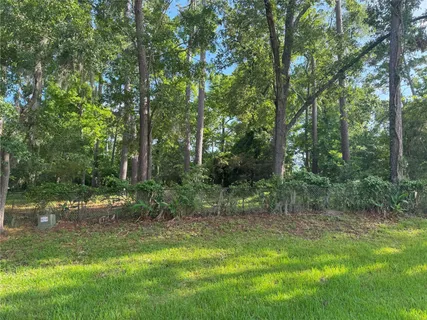 a view of outdoor space and green space