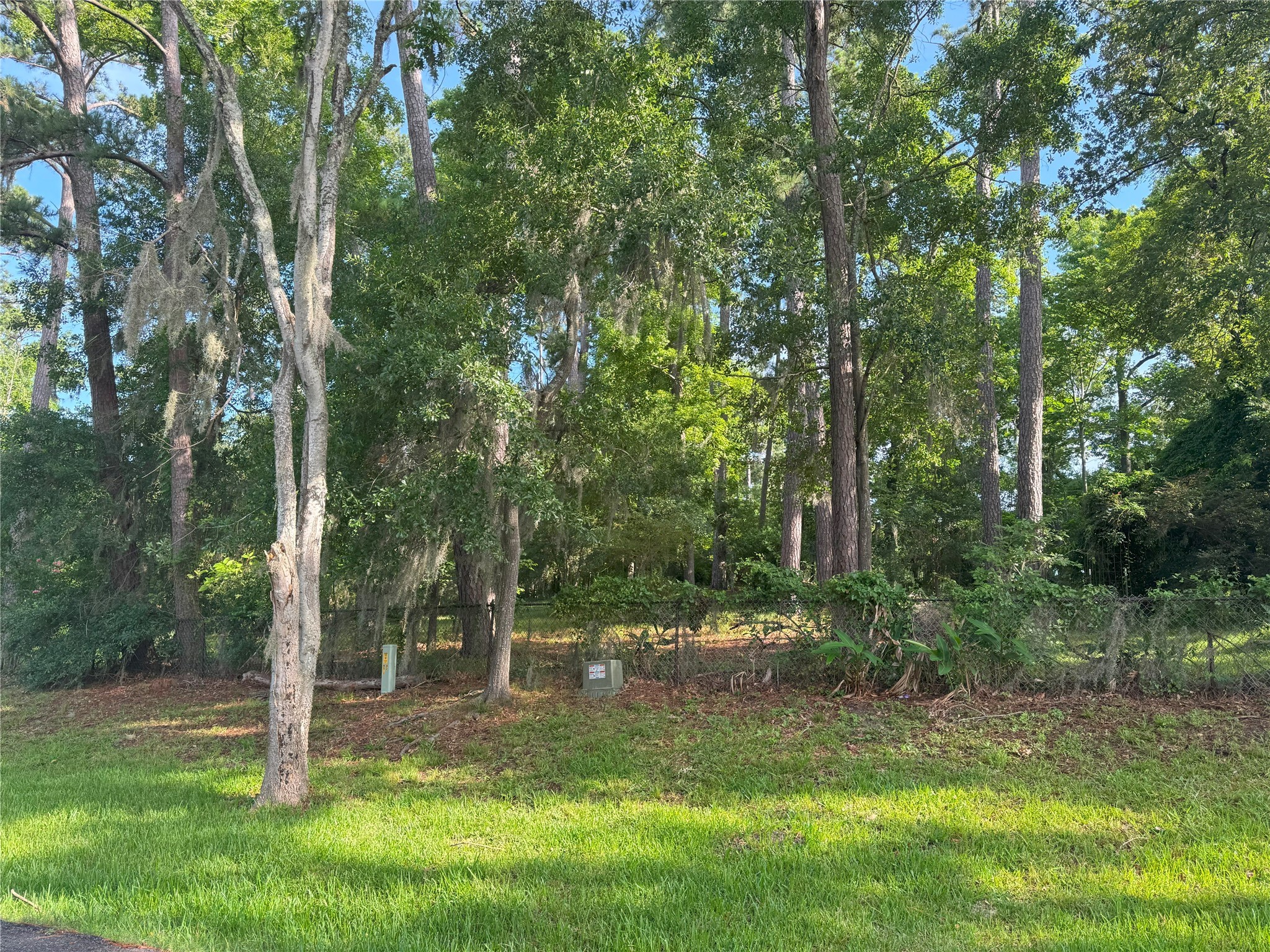 Tbd Tbd Lakeshore /black Walnut Drive Coldspring, TX 77331 - Photo 5 of 20 a view of a park