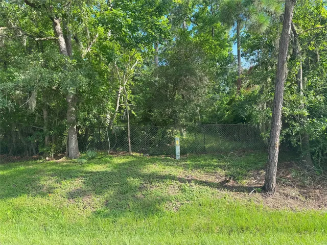 a backyard of a house with lots of green space and trees