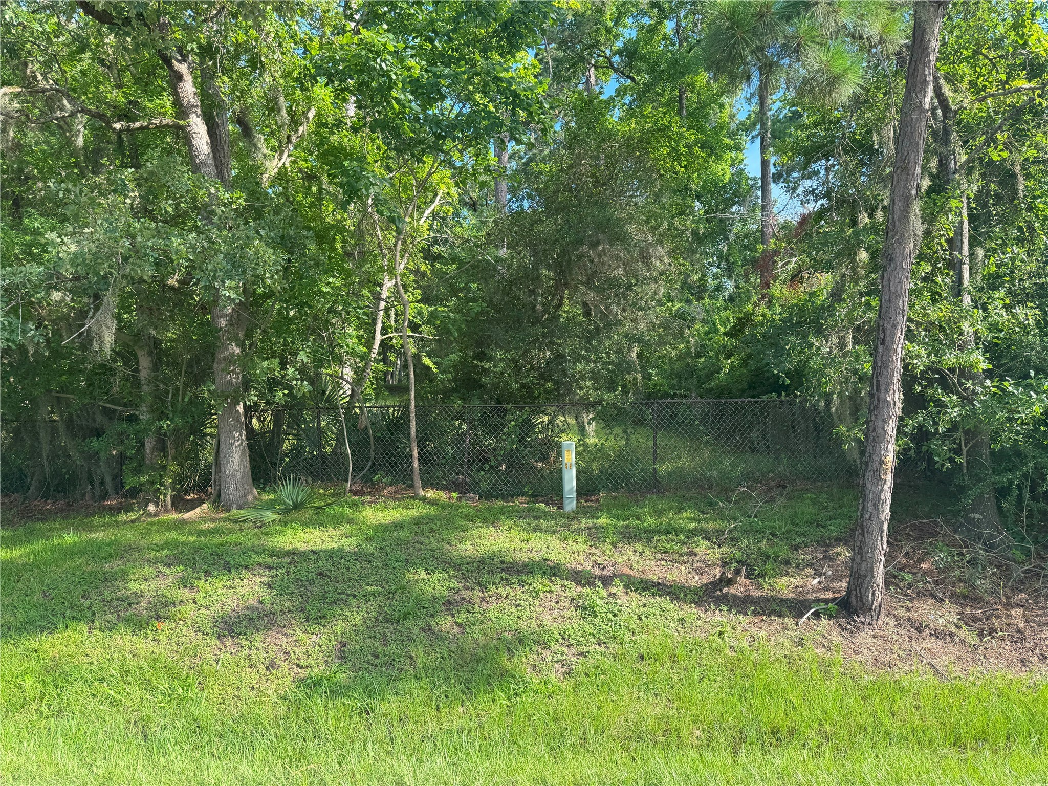 Tbd Tbd Lakeshore /black Walnut Drive Coldspring, TX 77331 - Photo 6 of 20 a backyard of a house with lots of green space and trees