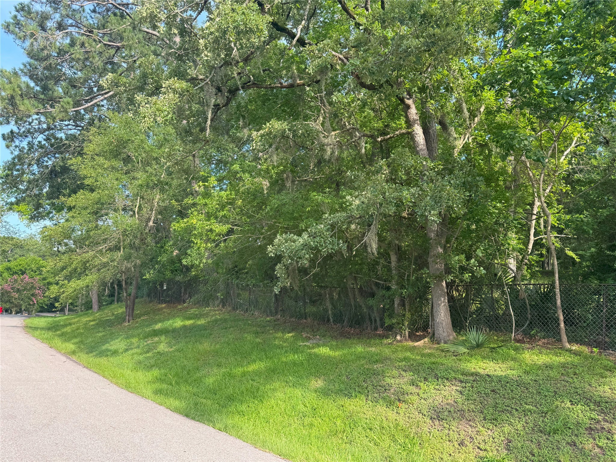 Tbd Tbd Lakeshore /black Walnut Drive Coldspring, TX 77331 - Photo 7 of 20 a view of outdoor space with deck and yard