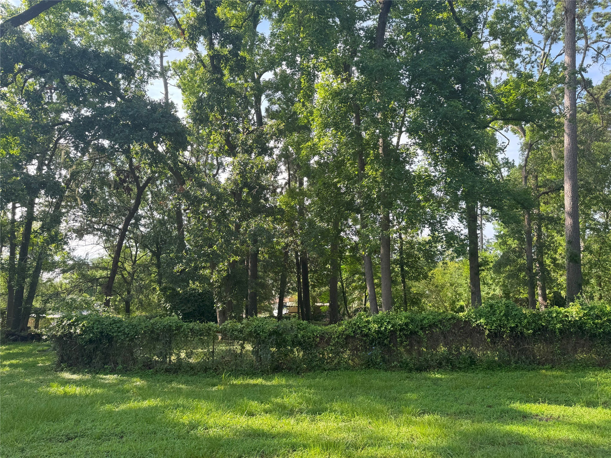 Tbd Tbd Lakeshore /black Walnut Drive Coldspring, TX 77331 - Photo 8 of 20 a view of a lake