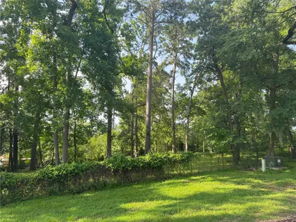 a view of a park with trees in the background