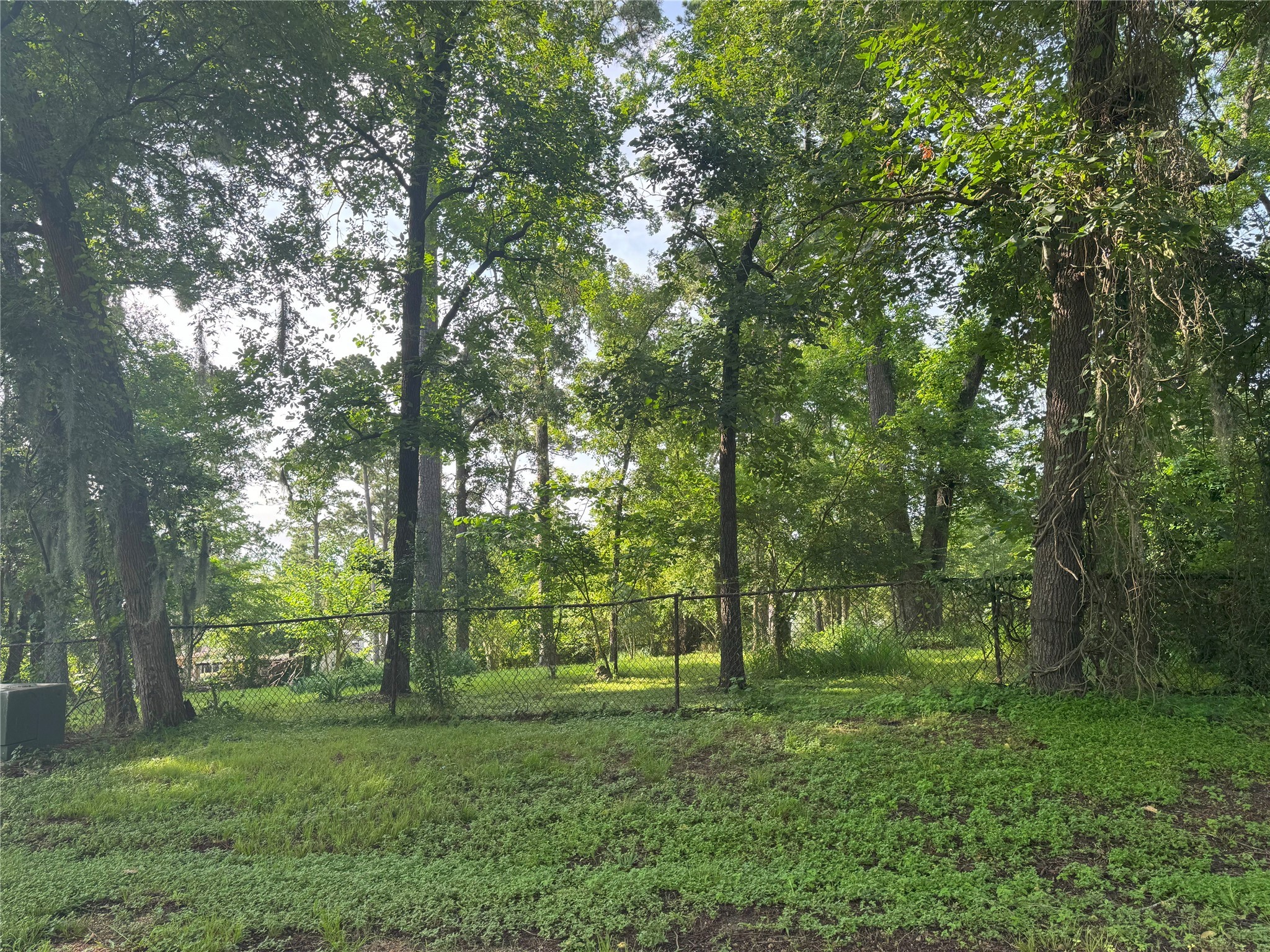 Tbd Tbd Lakeshore /black Walnut Drive Coldspring, TX 77331 - Photo 10 of 20 a big yard with lots of green space and trees