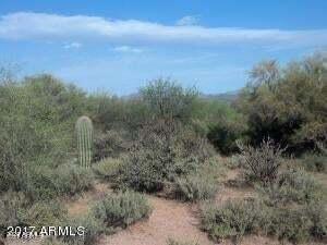 170-th St 170-th Street Rio Verde, AZ 85263 - Photo 2 of 13 Rio Verde vegetation